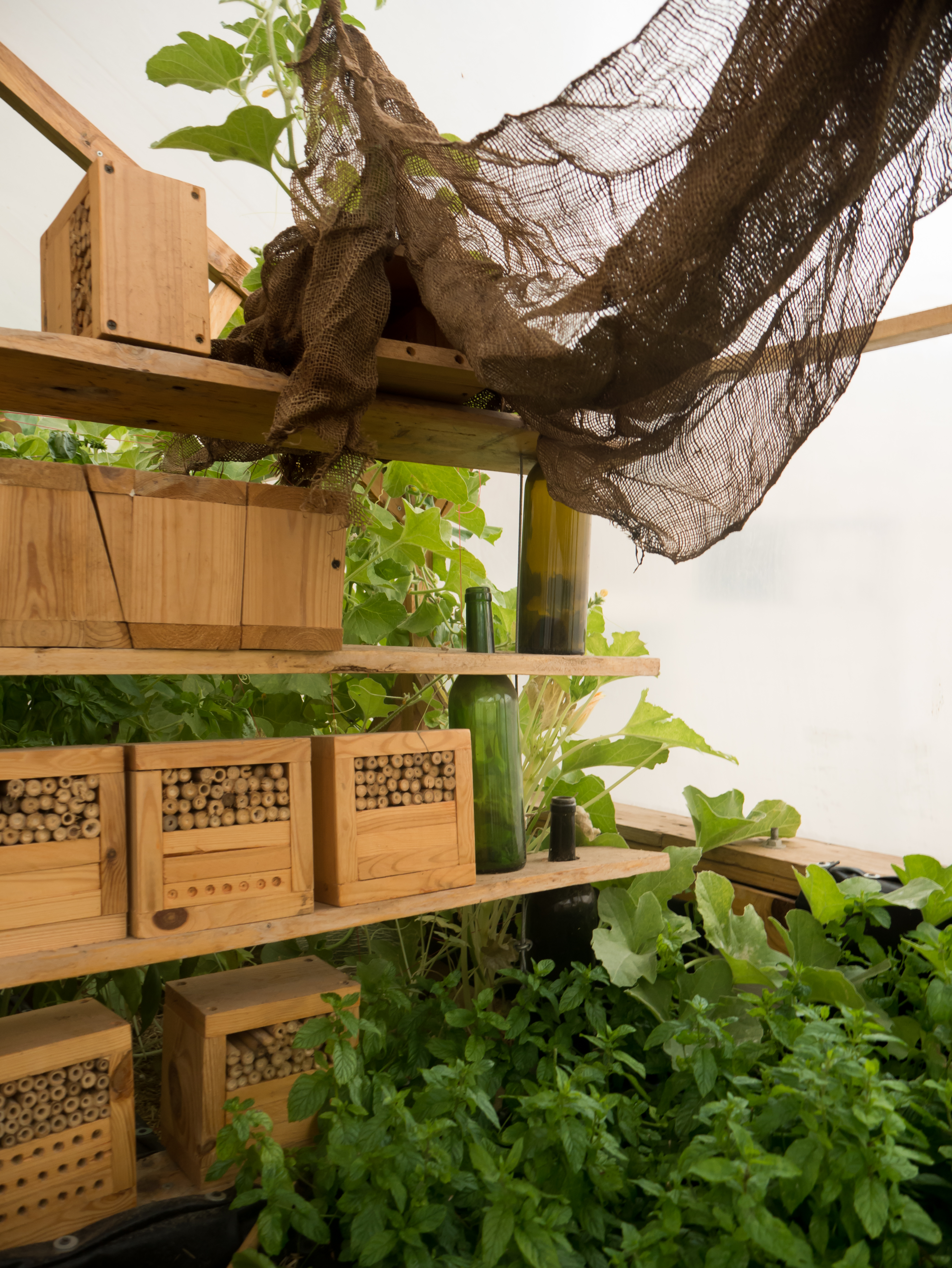 Greening the Camps
