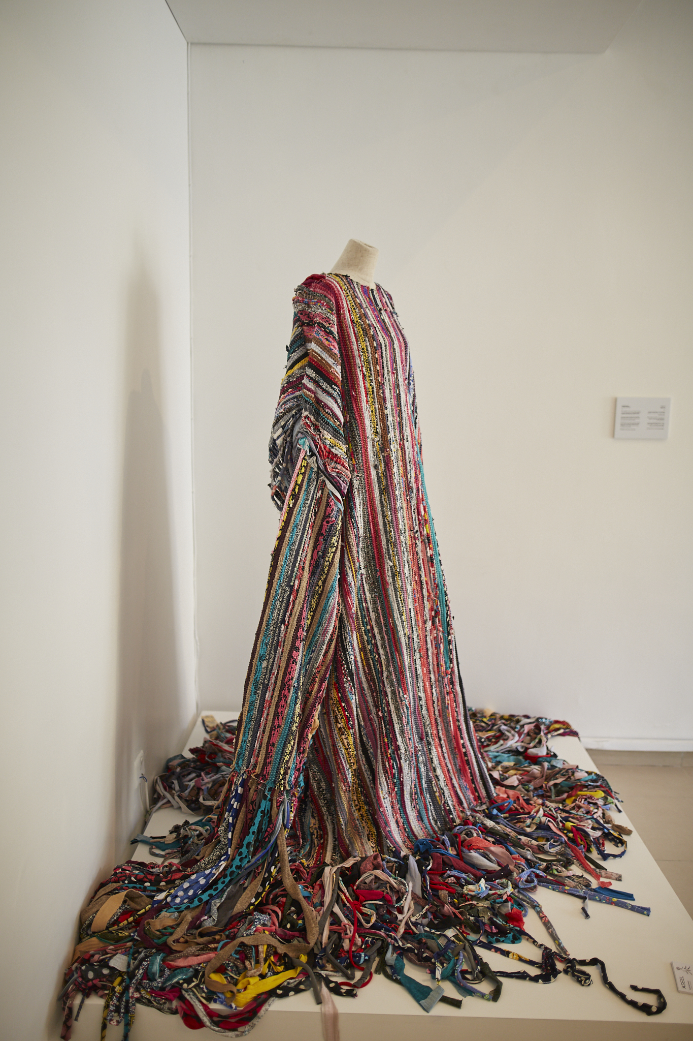 Aseel Qawasmeh