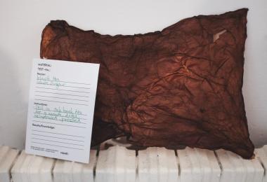 Textile Innovation Lab I - Material Innovation